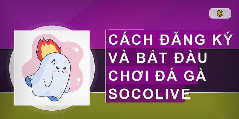 Cách đăng ký và bắt đầu chơi đá gà Socolive