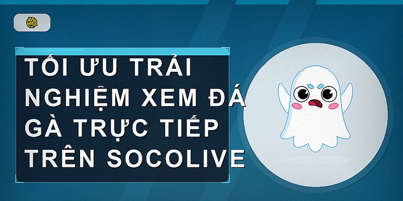 Tối ưu trải nghiệm xem đá gà trực tiếp trên Socolive