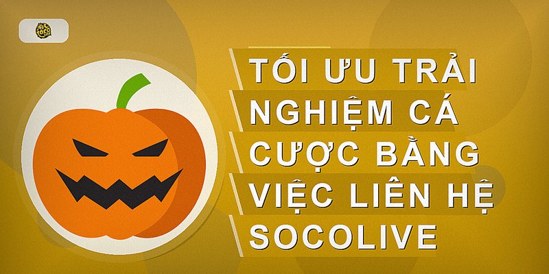 Tối ưu trải nghiệm cá cược bằng việc liên hệ Socolive