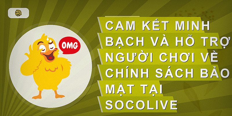 Cam kết minh bạch và hỗ trợ người chơi về chính sách bảo mật tại Socolive