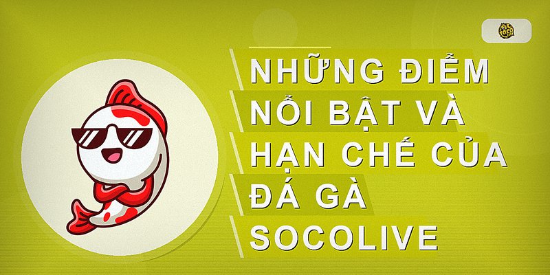 Những điểm nổi bật và hạn chế của đá gà Socolive
